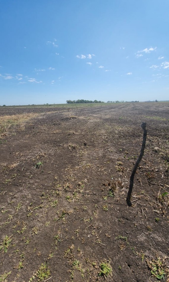 CAMPO A LA VENTA EN RUTA 18 KM 34