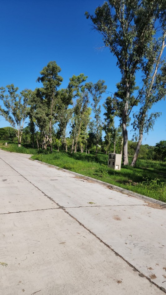 LOTEO EN VENTA EN CALLE BLAS PARERA Y EL IBAPOY