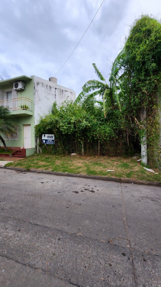  TERRENO EN VENTA CALLE PEDRO SEGUI 