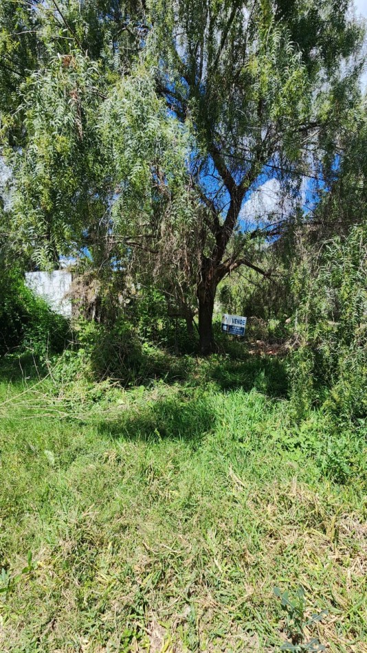 LOTE A LA VENTA EN LAS ACACIAS IDEAL PARA CASAQUINTA 