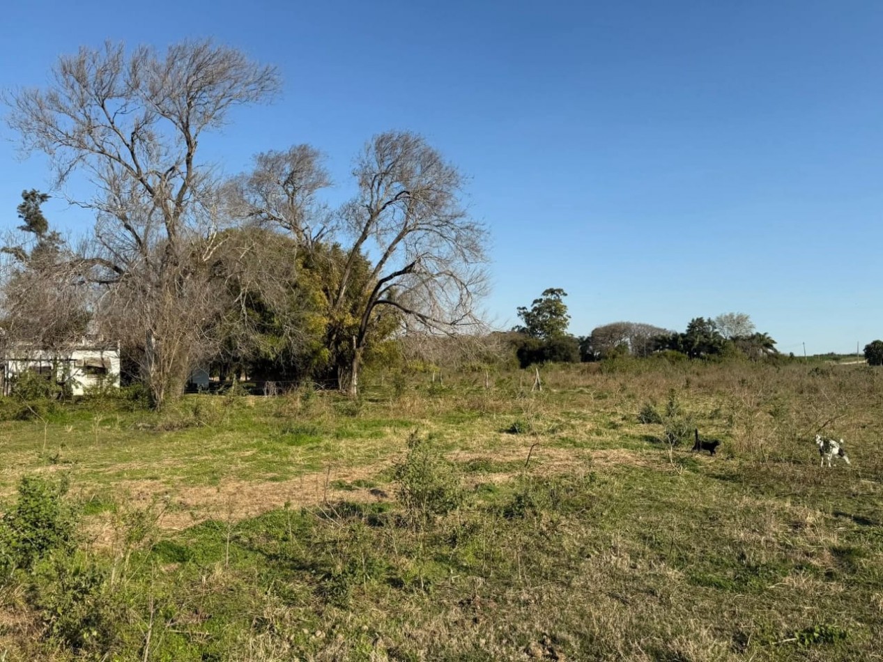 VENTA DE CASA DE CAMPO EN  AMPLIO LOTE EN PUERTO ALVEAR