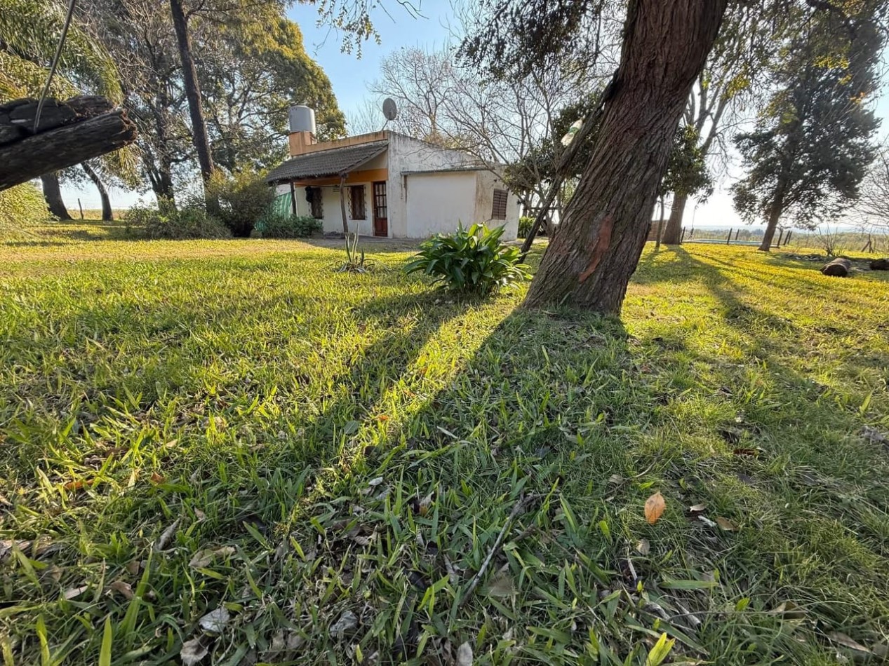 VENTA DE CASA DE CAMPO EN  AMPLIO LOTE EN PUERTO ALVEAR