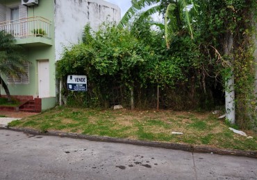  TERRENO EN VENTA CALLE PEDRO SEGUI 